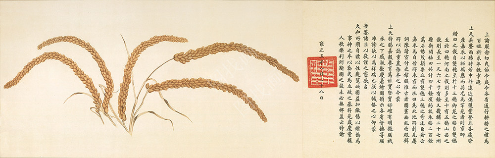 清 郎世宁 瑞谷图 绢本 191x61cm